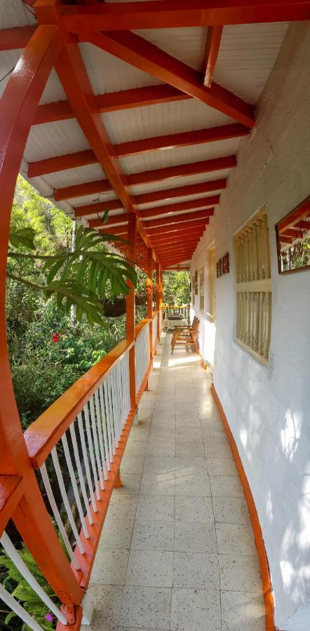 Finca Los Abuelos - La Planta Concepcion 外观 照片