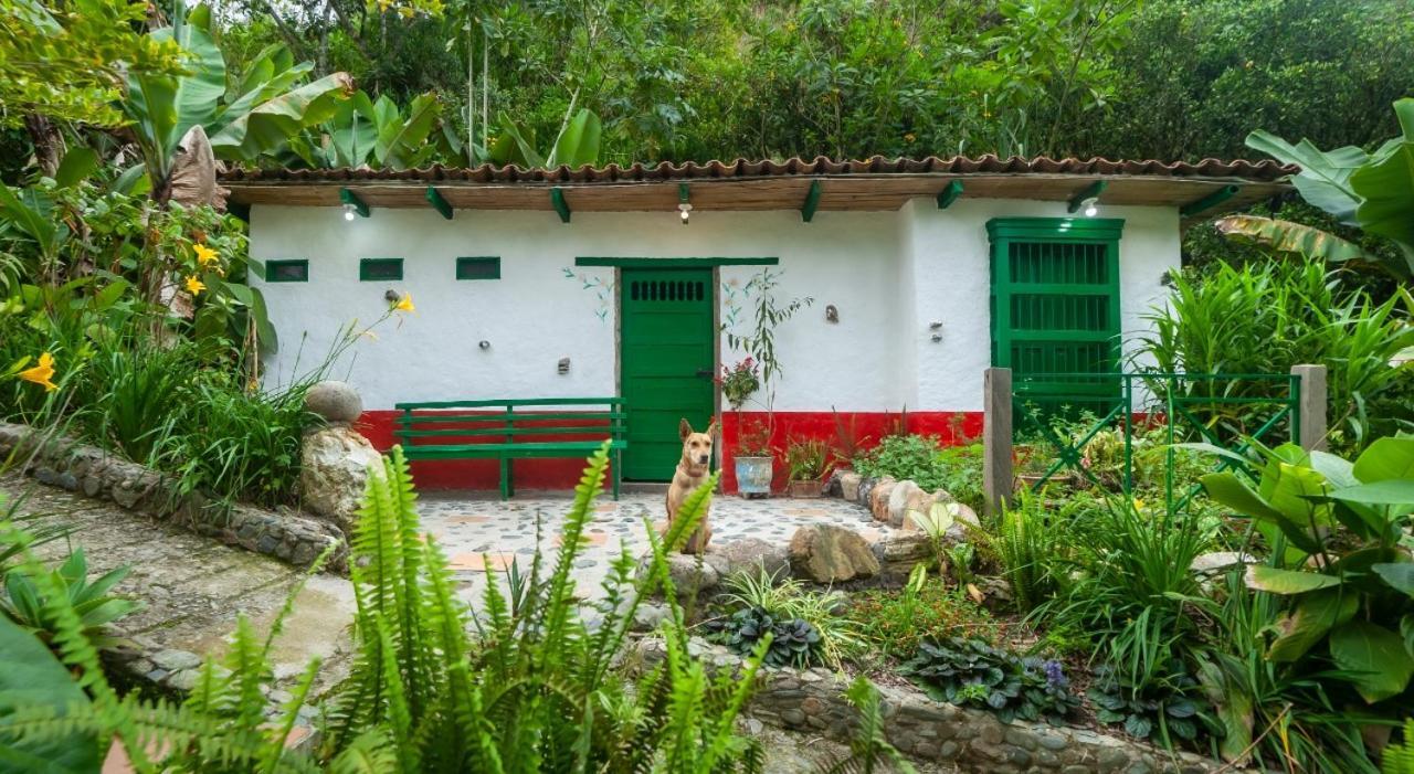 Finca Los Abuelos - La Planta Concepcion 外观 照片